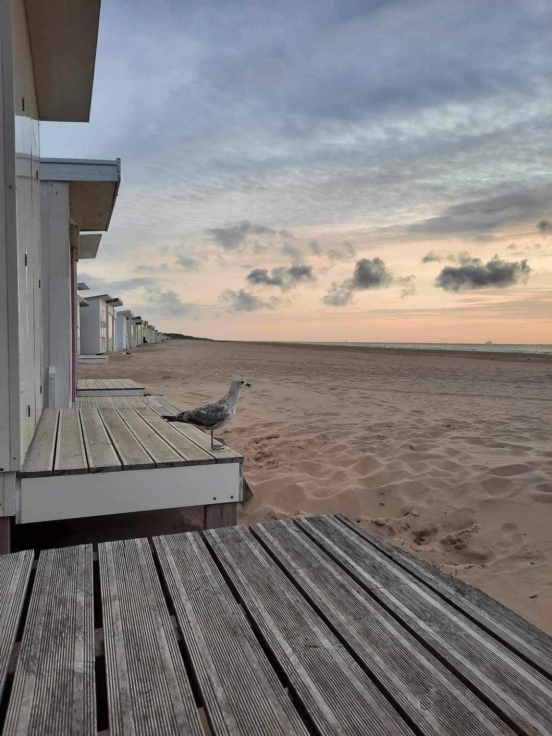 Calais Plage-Gare Appartement Elegant Tout Equipe Exterior photo